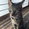 の写真
