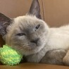 さぼてん夫婦