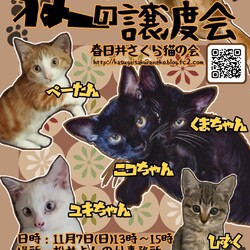 保護猫の譲渡会in守山