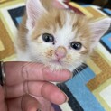 元気な甘えん坊な可愛い男の子♡