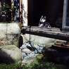 日向ぼっこで外気スハスハしてます　笑