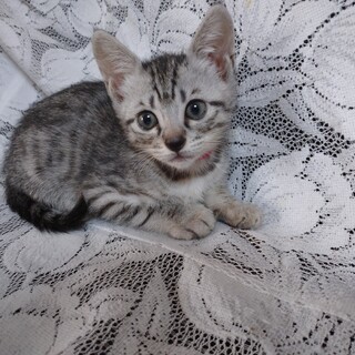 素敵なご縁に恵まれました❗