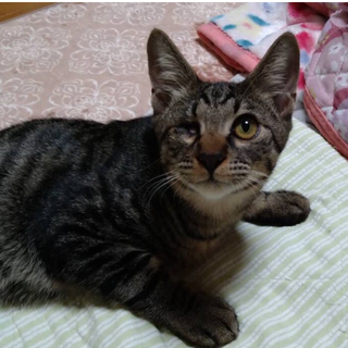 元気いっぱいつくし君