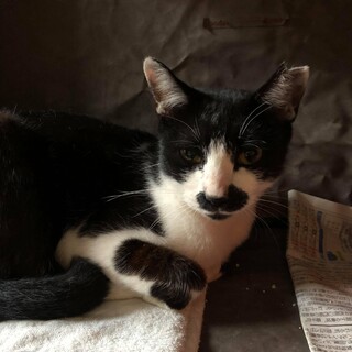 ずっとのおうちがみつかりました(^^)