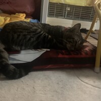 鬼丸