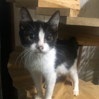 チャームポイントは鼻…オットリ愛の男まぐちゃん