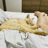 まみ.