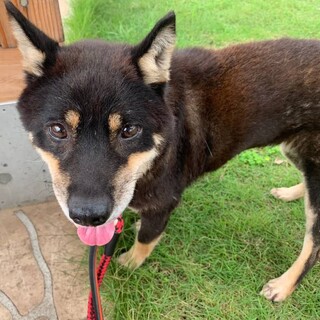 大人しくって♡頑張り屋さんの【仮名　つづく】ちゃん