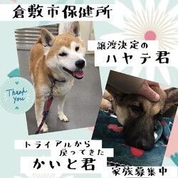 2021年10月29日の倉敷→全頭譲渡決定！