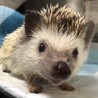 うにまる　2017/3/23