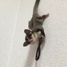 もも　2015/1/25