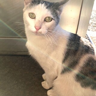 保護してくれた方の家族になりました⭐︎