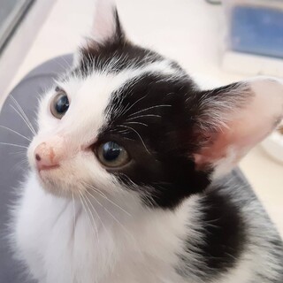 ありがとうございました