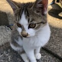 抱っこ大好き