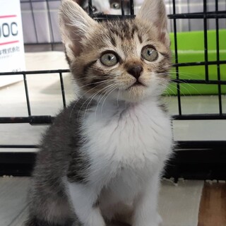 ありがとうございました