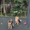 5歳になりました！