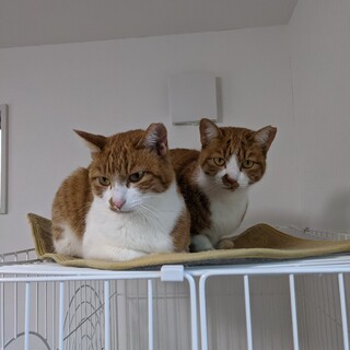 仲良し姉妹です！