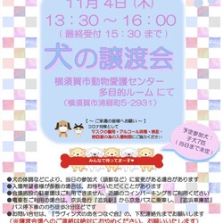 犬の譲渡会