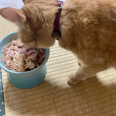 5年経ちました。