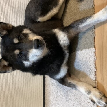 の写真