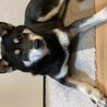 の写真