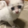 まいんくちゃん