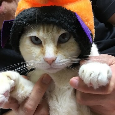 えさ家に集合だろ？とうちゃん、離してくれよ、遅れるヨォ〜〜〜