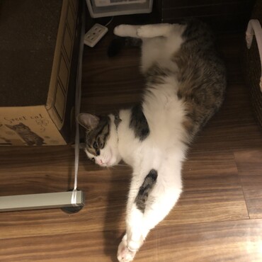 の写真