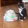 の写真