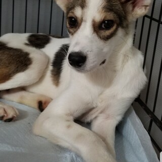 調整中のため、一旦ストップさせていただきます。