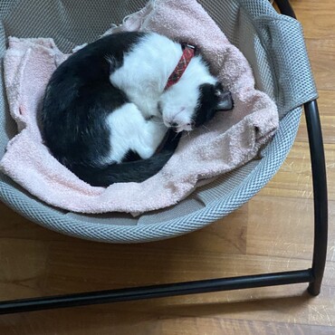 の写真