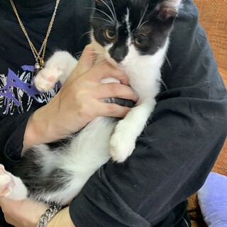 里親さま決まりました☆