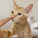 「面談予定」陽気な「ジャンプ」くん❤