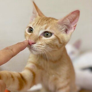 「面談予定」陽気な「ジャンプ」くん❤