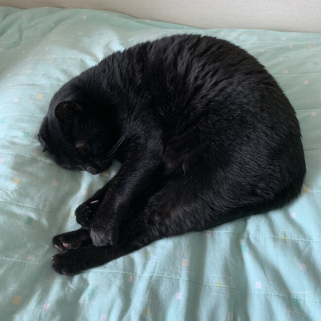 かえるさんずのカバー写真