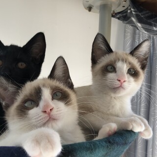 ♡人馴れ抜群５兄弟♡