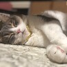 ゆず530さん