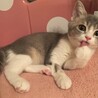 毛繕い