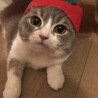 りんごなゆず