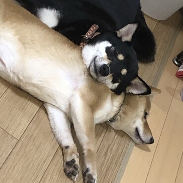 の写真