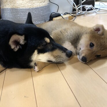 の写真