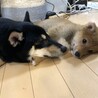 の写真