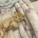 甘えん坊が凄すぎる男の子