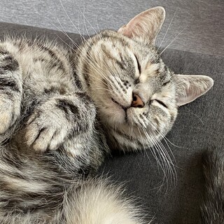 くるみ♀3歳です