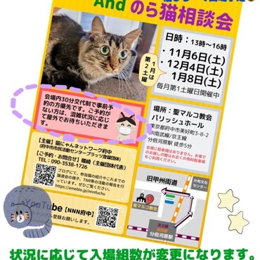 譲渡会は状況に応じ各回3組から4組まで入場可能となりました。