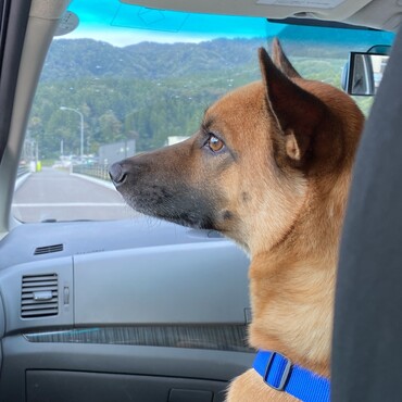 テンとお山に…