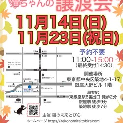 ★猫の未来とびら譲渡会★東銀座徒歩2分東劇隣