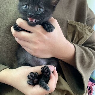 里親さま決まりました☆