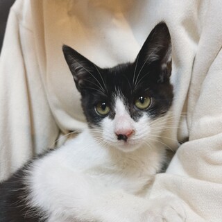  人懐っこくて、甘えん坊のはなまるくん♪