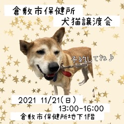 倉敷市保健所・犬・ねこ譲渡会